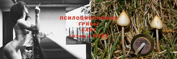 кокс Алзамай