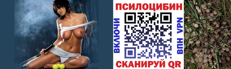 даркнет сайт Лесосибирск Псилоцибиновые грибы Psilocybine cubensis